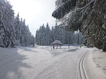 74 km Loipen auf einer Höhenlage von 750 bis 1.050 m mit acht verschiedenen Loipen unterschiedlicher Schwierigkeitsgrade steht dir im Langlaufzentrum Sankt Englmar zur Verfügung.