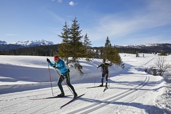 Information on Cross-Country Skiing at Reit im Winkl