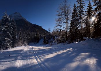 Langlaufen in Steinberg - mit Blick auf den 2.195 Meter hohen Guffert, der Hausberg der Steinberger