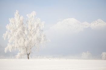 Traumhafte Winterlandschaften können Langläufer in Saalfelden Leogang erkunden.