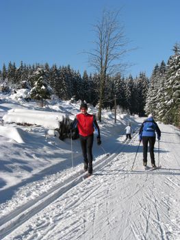 Südlich von Schmallenberg verläuft die Rothaarloipe.