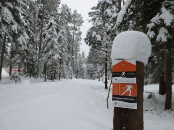 Durch die guten Markierungen ist das Loipennetz in Schömberg sehr übersichtlich.