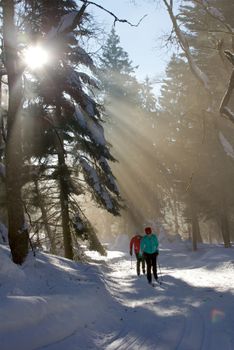 Für geübte Langläufer sind die schwarz markierten Loipen eine tolle Herausforderung.
