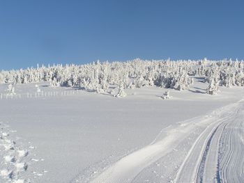Detaillierte Infos zum Langlauf und den Loipen im Langlaufgebiet Joglland - Waldheimat