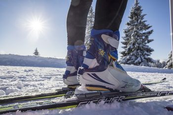 Die Loipen in Titisee-Neustadt gehören zum Loipennetz Hochschwarzwald.