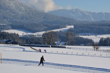 Blick auf die Tobi-Angerer-Loipe am Hochberg