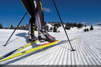 Detaillierte Infos zum Langlauf und den Loipen im Langlaufgebiet Val di Fiemme