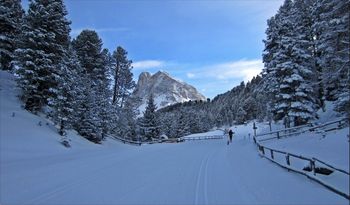 Halsl Loipe mit Blick zum Peitlerkofel