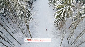 Langlaufen und Winterwandern in der Natur-aktiv-Region Oberer Bayerischer Wald/Böhmischer Wald