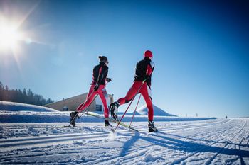 Langlaufen bei herrlichen Bedingungen im Nordic Aktiv Zentrum Oberer Bayerischer Wald/Böhmischer Wald.