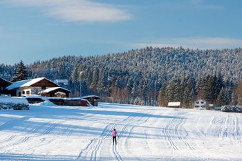 Genieße die verschneite Winterlandschaft rund um Zwiesel.