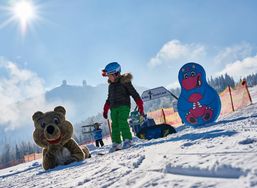Großer Arber in the Bavarian Forest is also among the top 10 family-friendly ski resorts in Germany.