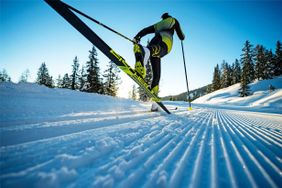 There are different cross-country skis in different price ranges.
