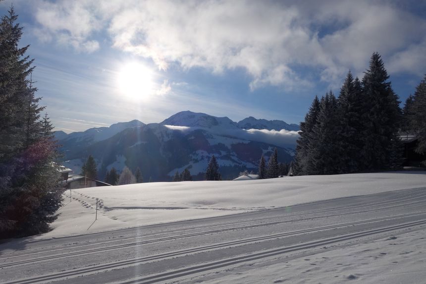 Trail Map Chur Brambrüesch