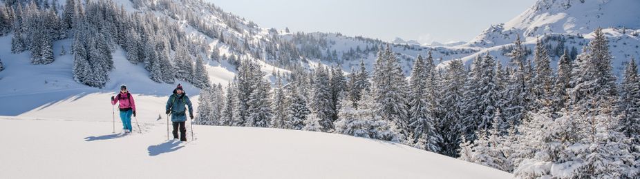 Entdecke beim Schneeschuhwandern unberührte Pfade durch die verschneite Winterlandschaft.