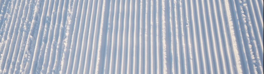 Perfectly groomed slopes at Marmot Basin.
