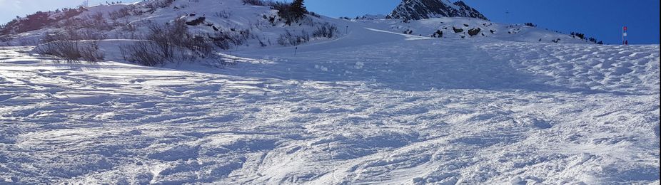 An example of a relatively easy mogul run.