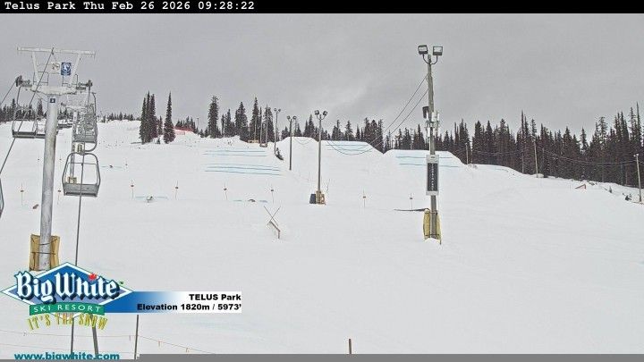 Webcam mit dem Standort: Telus Park