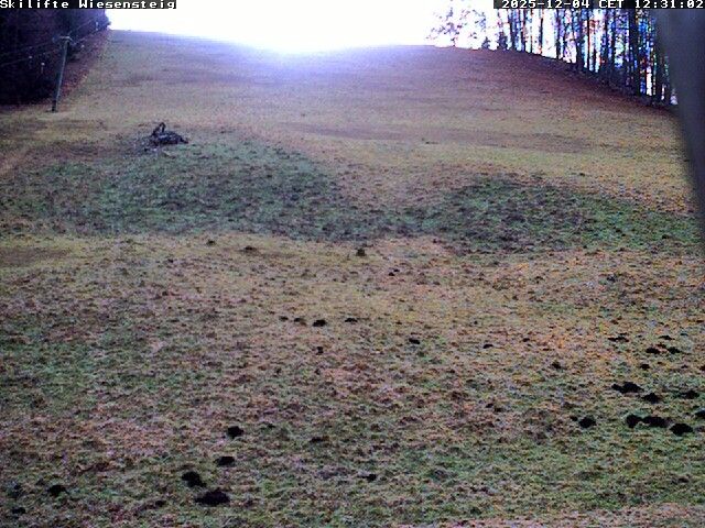 Webcam located at: Wiesensteig Slope