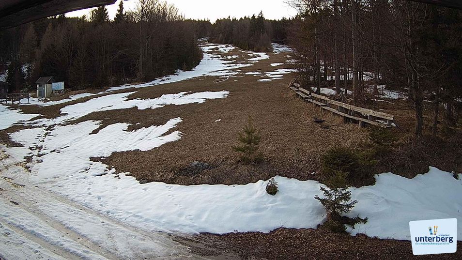 Webcam mit dem Standort: Unterberg: Schneidlift