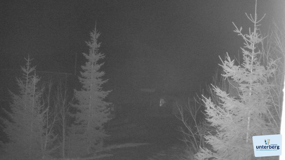 Webcam located at: Unterberg: View Gipfellifte