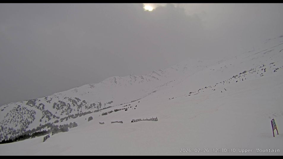 Webcam located at: Marmot Basin - Upper Mountain
