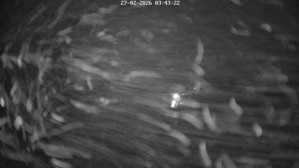 Webcam mit dem Standort: Klingenthal: Skisprunganlage Vogtland Arena