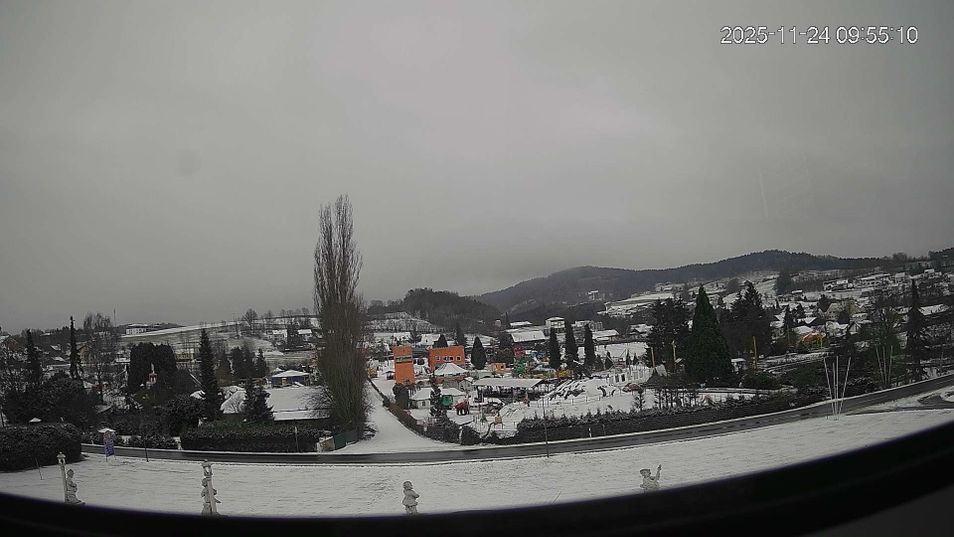 Webcam mit dem Standort: Webcam Churpfalzpark Loifling