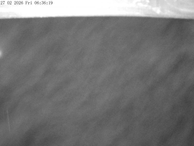 Webcam mit dem Standort: Mt. Olympus: Zufahrtsweg 2