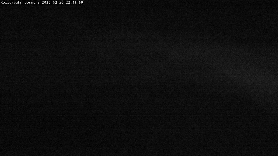 Webcam located at: Willingen - Biathlon Roller Ski