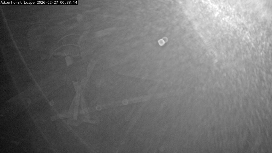 Webcam located at: Willingen - Cross Country Trail at Ski Jumping Area