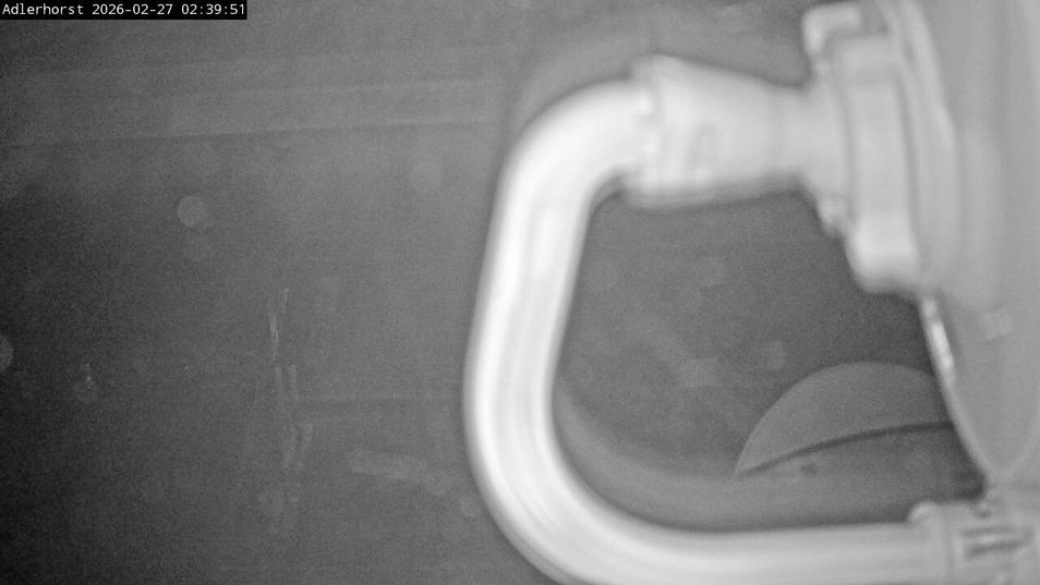 Webcam located at: Willingen - Ski Jumping Area Start