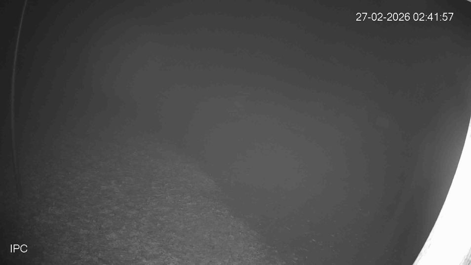 Webcam mit dem Standort: Bad Marienberg: Kinderlift und blaue Piste am Schorrberg