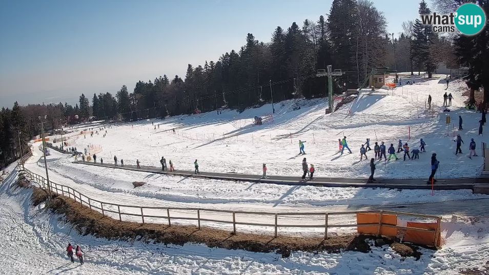 Webcam located at: Maribor: Beginner Slope at Hotel Bellevue