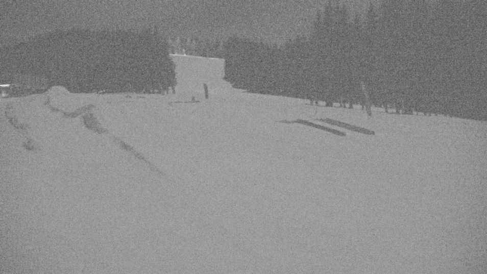 Webcam mit dem Standort: Stuhleck: Bergstation Promibahn und Beginnerpark