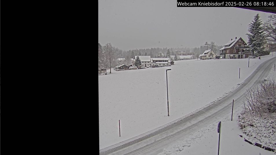 Webcam located at: Black Forest: Kniebis