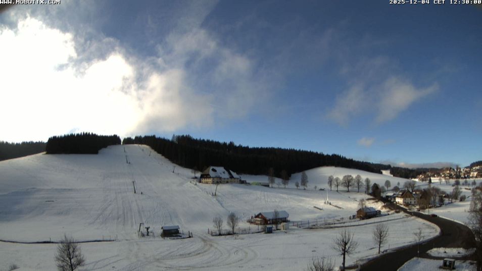 Webcam mit dem Standort: Blick auf den Schneeberg Waldau