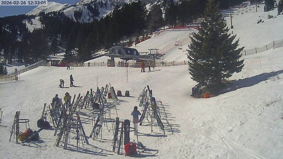 Webcam mit dem Standort: Bridger Bowl: Deer Park