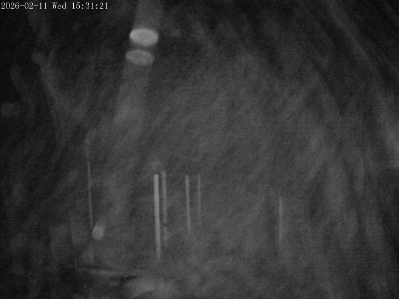 Webcam mit dem Standort: Skigebiet Mt. Olympus: Schneehöhe