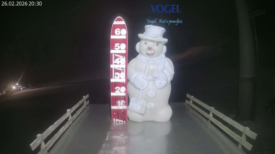 Webcam mit dem Standort: Neuschnee Vogel Ski Center