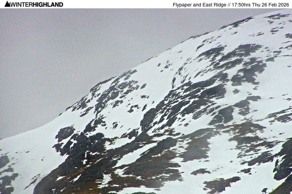Webcam located at: Glencoe Mountain Ski Resort - Flypaper and East Ridge