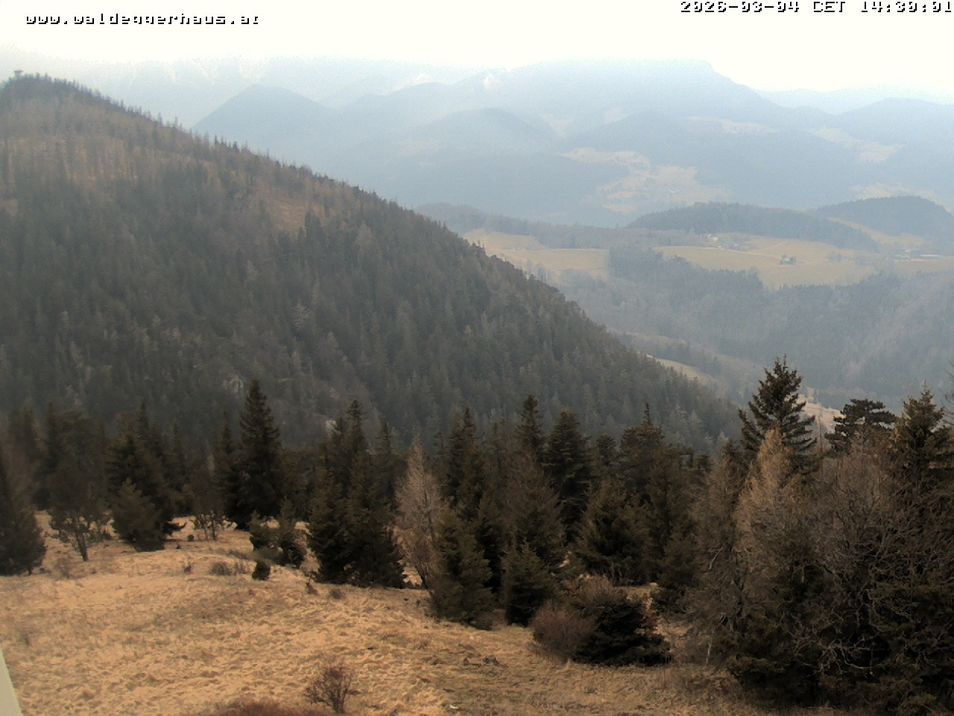 Webcam located at: "Hohe Wand"