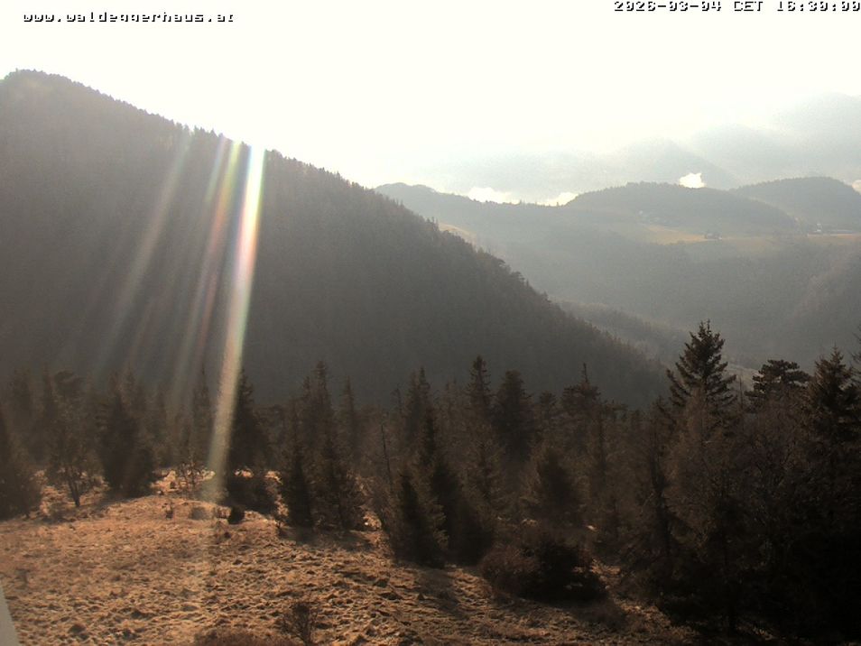 Webcam mit dem Standort: Waldeggerhaus Hohe Wand