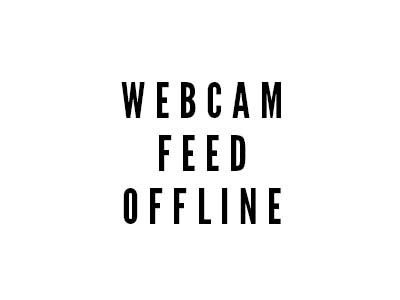 Webcam mit dem Standort: Jasper Nationalpark - Glacier Skywalk