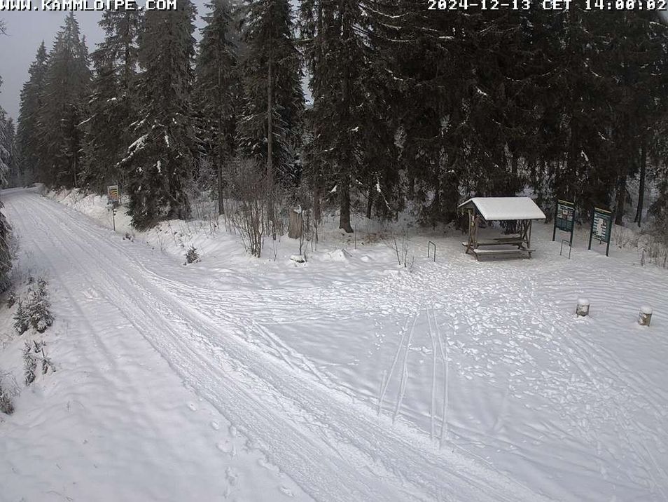 Webcam mit dem Standort: Kammloipe Hirschenstander Pass