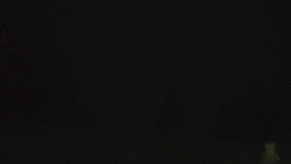 Webcam mit dem Standort: Kikutstua