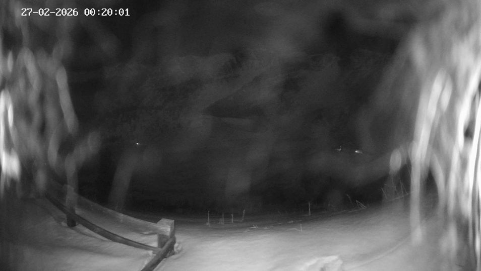 Webcam mit dem Standort: Ladurns: Piste an der Ladurner Alm