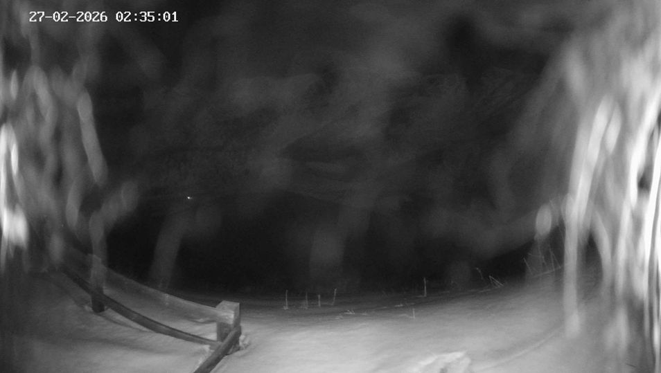 Webcam located at: Ladurns: Slope Ladurner Alm