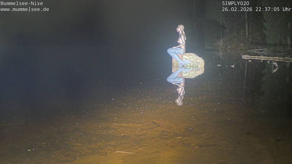 Webcam located at: Lake Mummelsee
