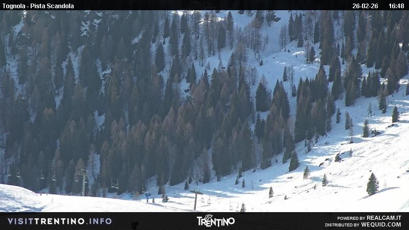 Webcam mit dem Standort: Malga Tognola